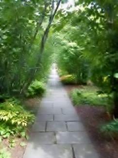 photograph © bronwyn angela white