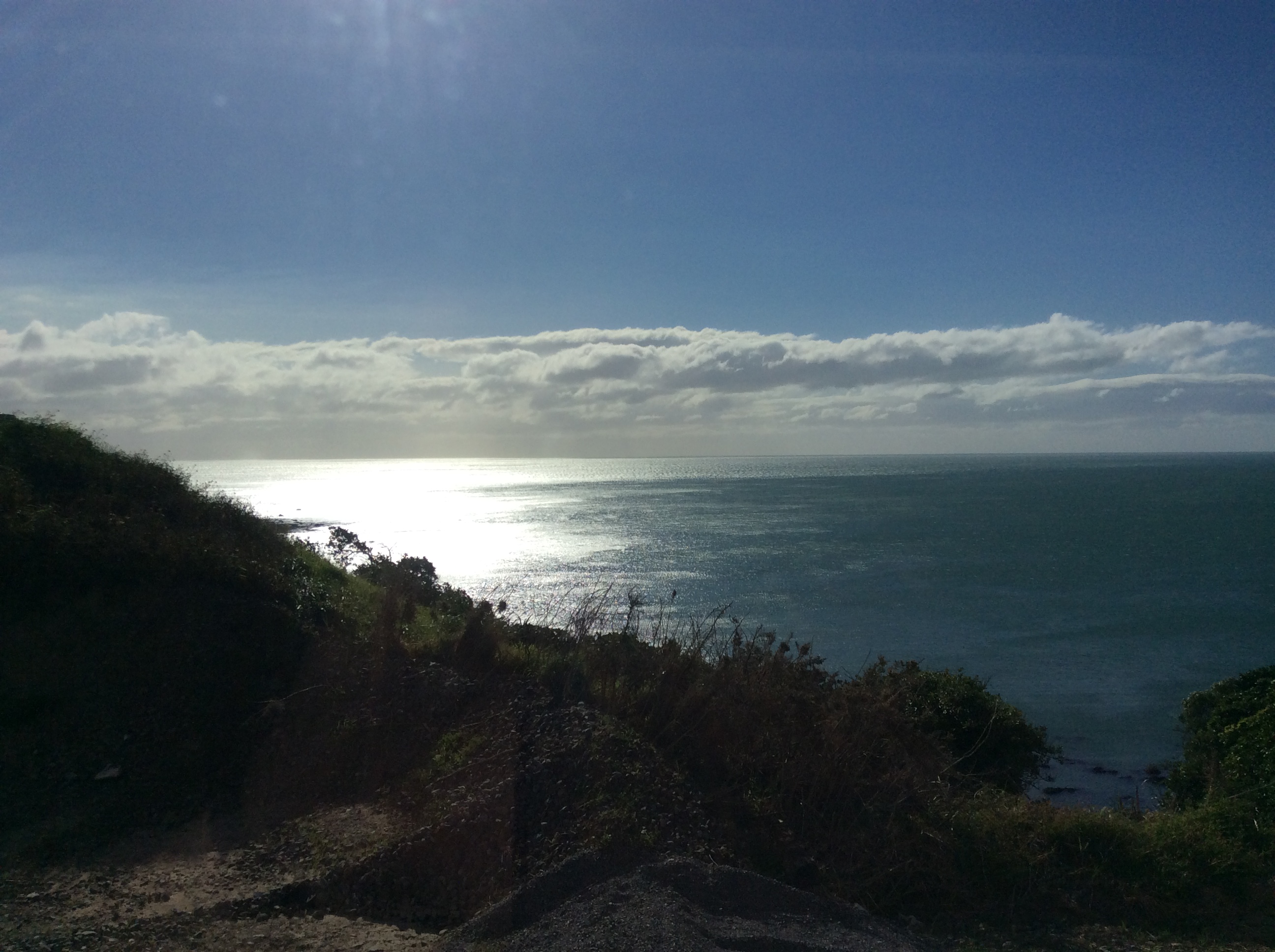 IMAGE © bronwyn angela white, Kapiti / Wellington, NZ